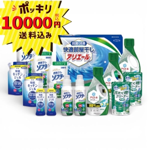 【10000円ポッキリ 送料無料】ギフト工房 快適部屋干しアリエールギフト HLG-100F【rm26c115gc079】