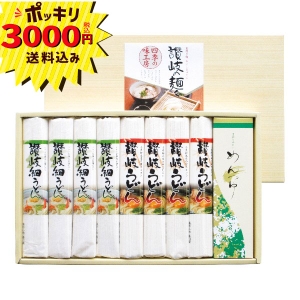 【3000円ポッキリ 送料無料】讃岐の麺々 四季の味工房 UYF-300SA【rm268144c06】