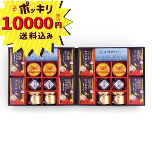【10000円ポッキリ 送料無料】海の恵詰合せ ZS-AZZ【rm268172c09】